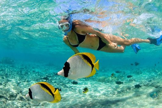 Snorkeling Catamaran Cruise with Food and Drinks Included