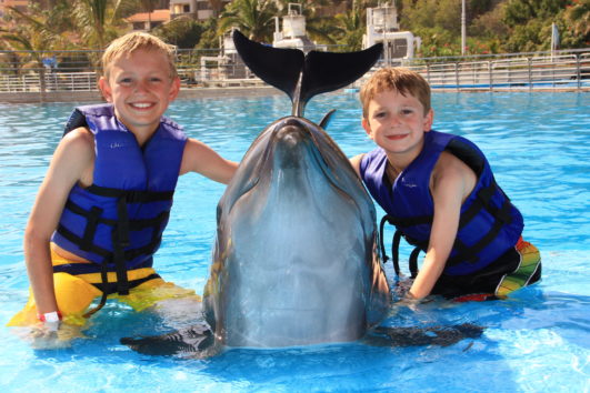 Dolphin Kids