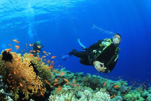 Scuba Diving for Certified (2 Tanks)