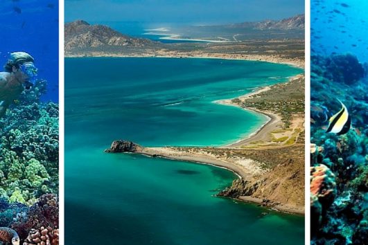 Cabo Pulmo Snorkeling Expedition