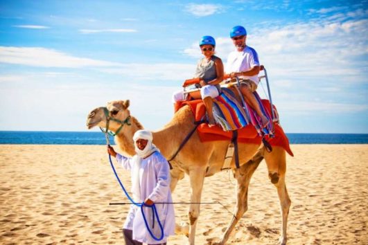 Outback and Camel Ride Safari with Lunch Included