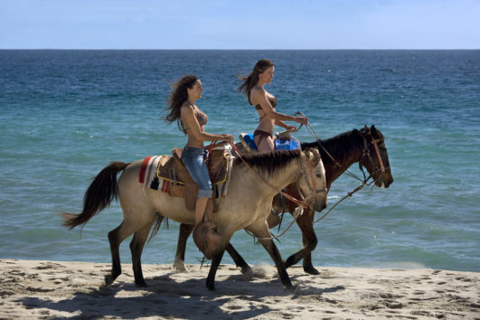 Single Horseback Riding on Beach & Desert