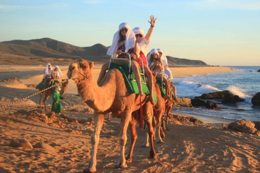 Camel Ride on The Beach and Desert with Lunch Included
